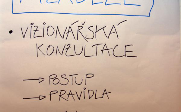 Politická participace mladých Strukturovaný dialog s mládeží
