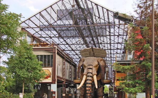 Nantes a mezigenerační výměna zkušeností
