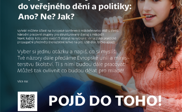 Strukturovaný dialog s mládeží: eseje